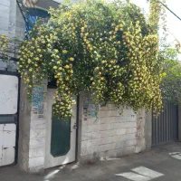 اجاره خانه در بستی