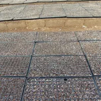 آنواع نشا گوجه فرنگی وبادمجان فلفل