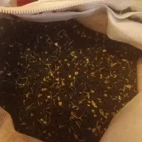 بذر پیاز زرد ( روز بلند)