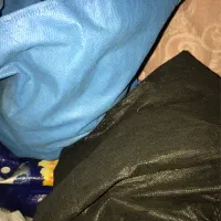 کود کبوتر