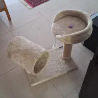 اسکرچر و صندلی گربه