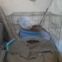 قفس قناری دونه ای ۴۰۰