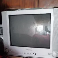 تلویزیون