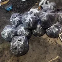 انواع زغال سیب و میوه