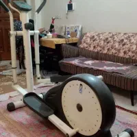 الپتیکال