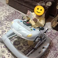 روروک دلیجان مدل روما