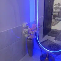 ۱عدد گلدان با گل ۲ میلیون تومان