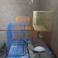 قفس پرنده