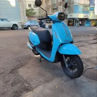 پانارا 1404