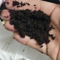 فروش کمپوست کاملا پوسیده