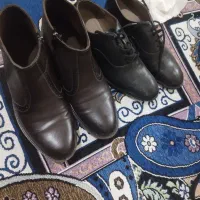 کفش مجلسی