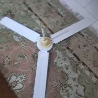 پنکه|پنکه و تصفیه‌کنندهٔ هوا|حمیدیا, |دیوار