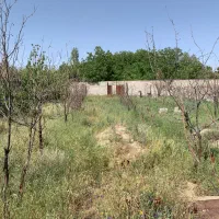 باغ-کردان