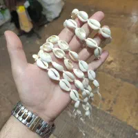 ست صدف