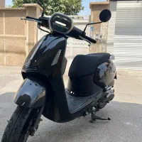 بنلی پانارا