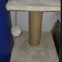 خانه پت خانه گربه