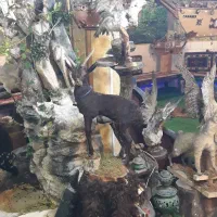 وسایل صفر تا صد سفره خانه