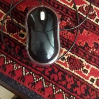 ماوس سونی سالم سالم