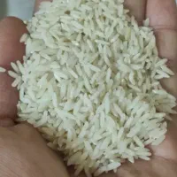 برنج طارم