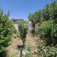 ۱۹۰متر سندتک برگ‌/ شهرک/ زعفرانیه