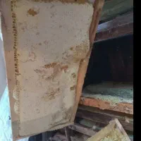 عسل با قاب