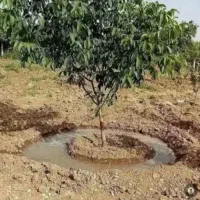 کارگر باغ و باغبانی‌وبیل‌زنی