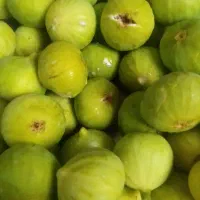 انجیر تازه چین
