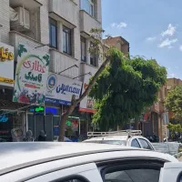 استخدامی همکار بیمه ایران