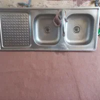 سینگ دوقلو سالم و محکم