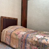 تخت یک نفره آپادانا و تشک رویا