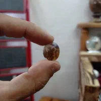 شجر|جواهرات|لاهیجان, انقلاب|دیوار