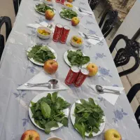 مجری کاروان.تور کربلا ‌هتل فول ۵ مرداد ظرفیت محدود
