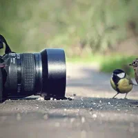 عکاس پرتره هستم یا یک سال سابقه کاری