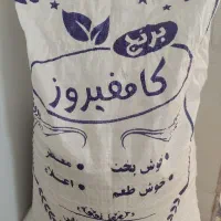 برنج کامفیروزی به شرط پخت و طعم واقعی