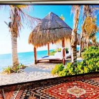 ال ای دی 55اینج سونی اصلی هوشمند اندروید 4k آکبند