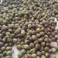 گردو درشت و تازه