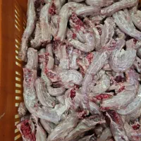 گردن مرغ روزانه ۱۰۰کیلو