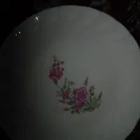 بشقاب چینی