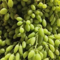 غوره محلی
