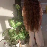 مو بدون رنگ بدون موخوره