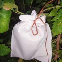 کیسه محافظ انگور (تنفس پذیر ، ضد پرنده و آفت)