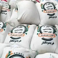 برنج طارم هاشمی فریدونکنار