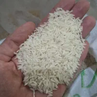 برنج|خوردنی و آشامیدنی|رودسر, |دیوار