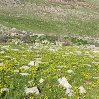فروش پلاک120متری