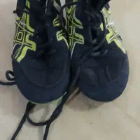 کفش کشتی