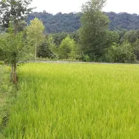 فروش خانه روستایی