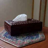 جای دستمال کاغذی