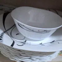 کاسه و پلو خوری
