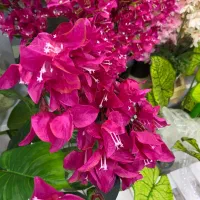 گل کاغذی مصنوعی