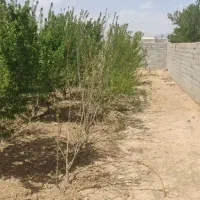 فروش-باغ-514-متری